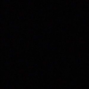 Meet your Posher, Darcy